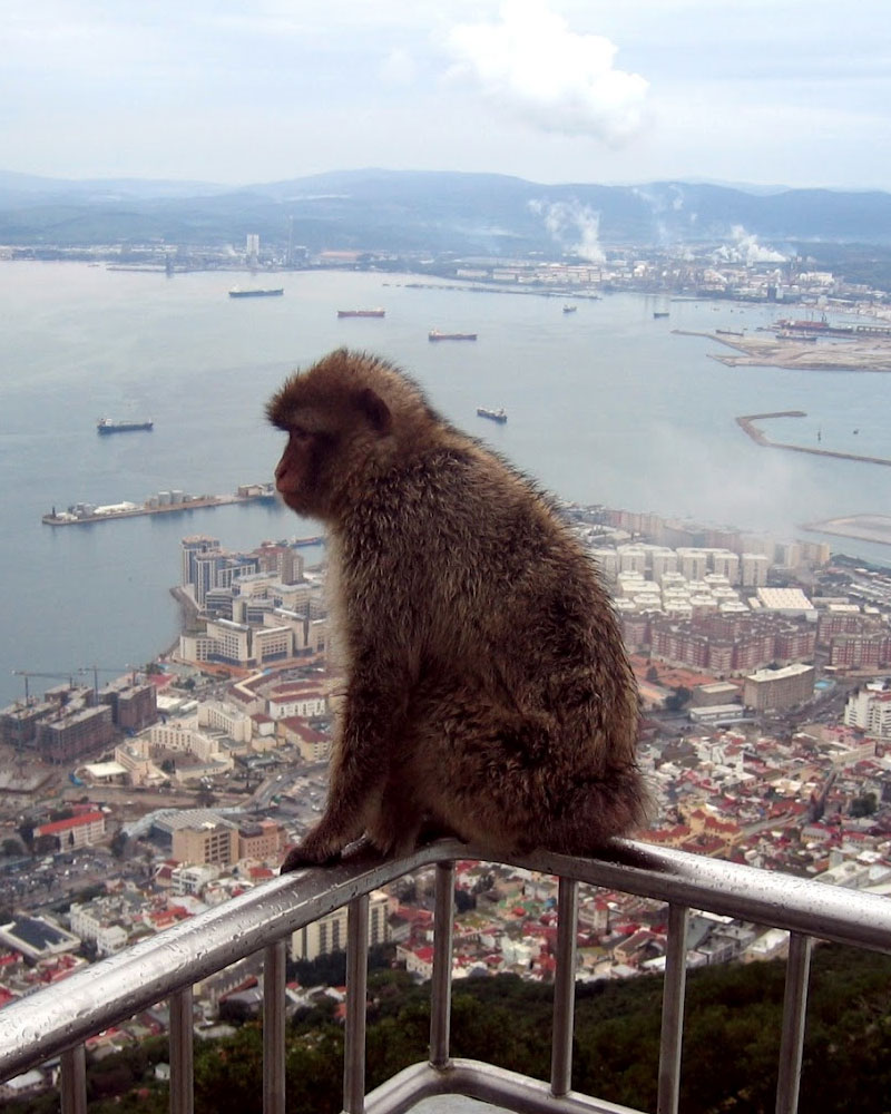 The top of the rock